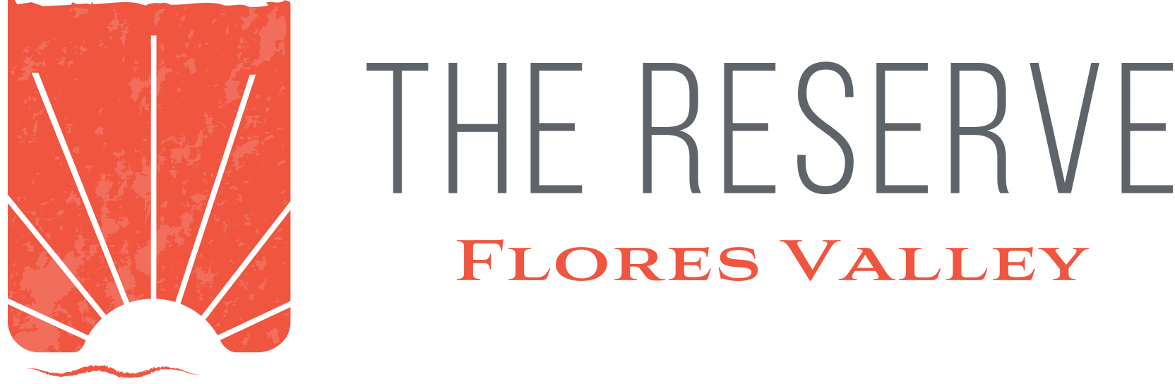 Footer Logo