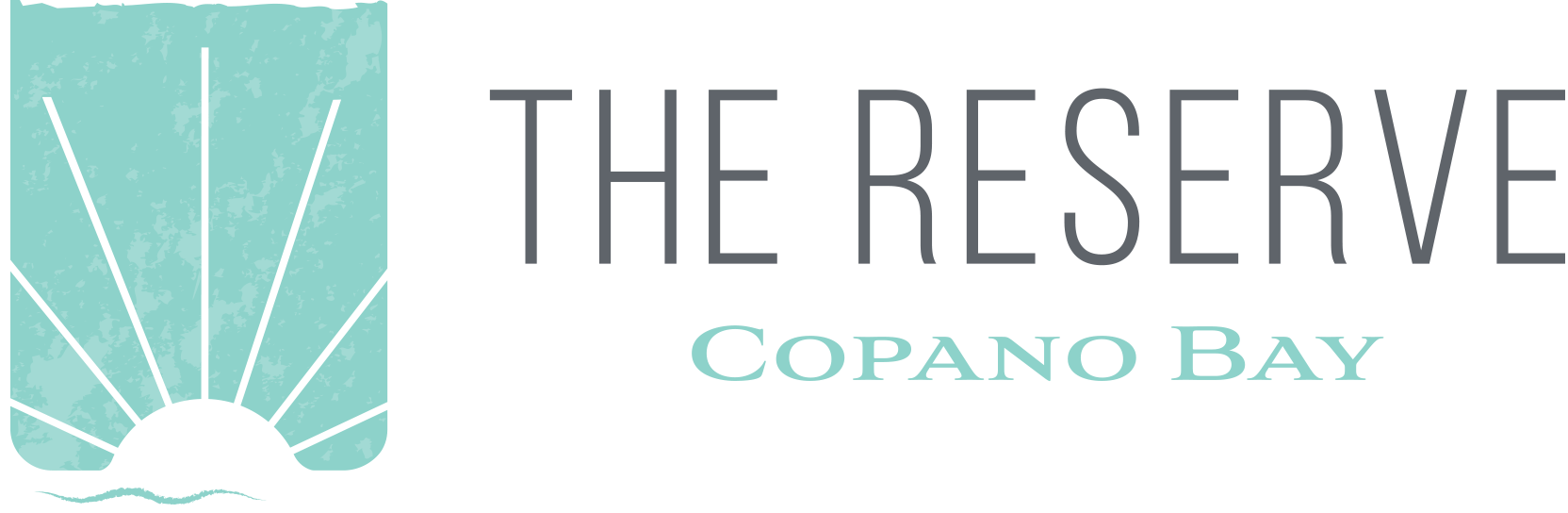 Footer Logo