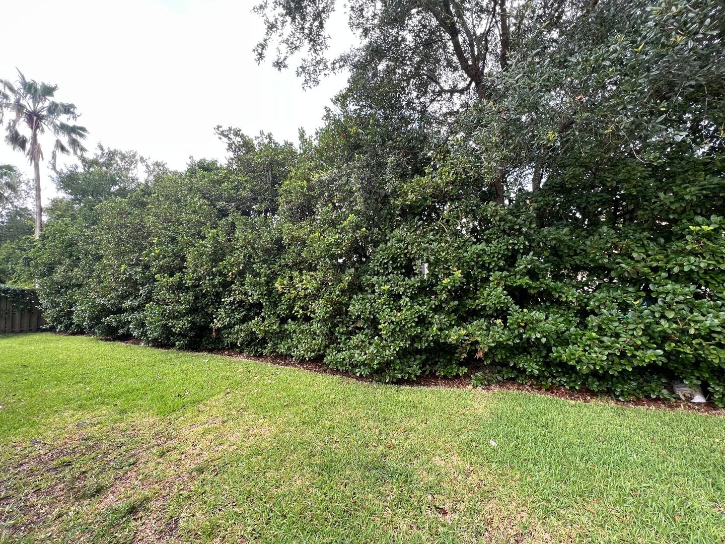1449 Blue Heron Ln E Jacksonville Beach, FL 32250