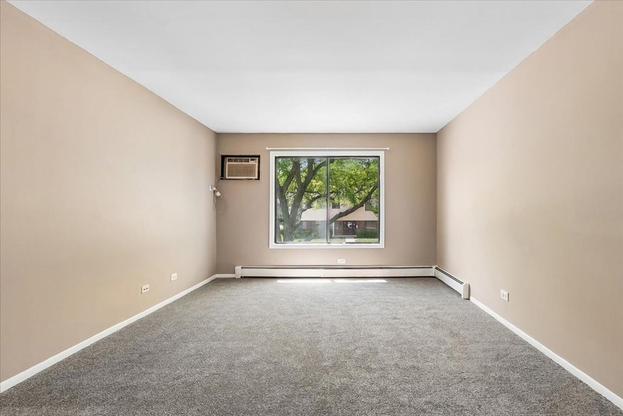 386 Echo Lane Unit 4 Aurora, IL 60504