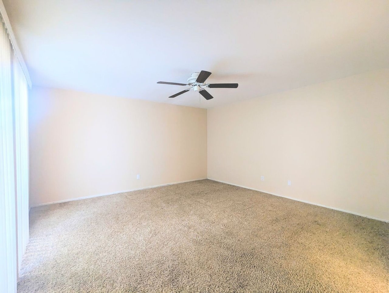 548 N Dodge Blvd Tucson, AZ 85716