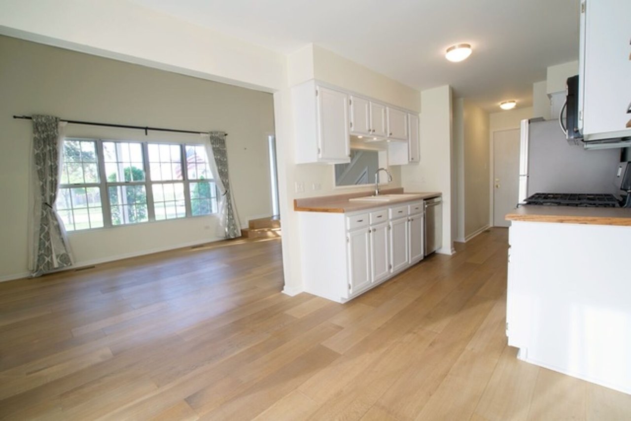 19907 South Edinburgh Lane Frankfort, IL 60423