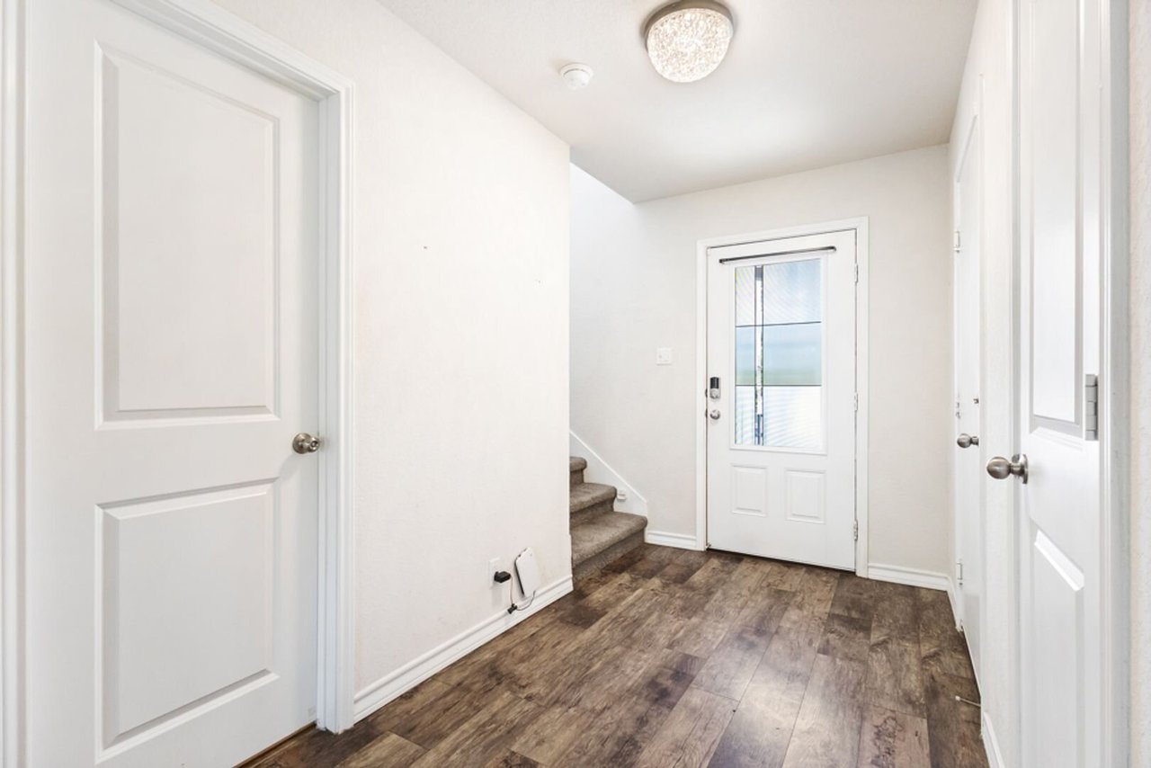 187 Scarlet Macaw San Antonio, TX 78253