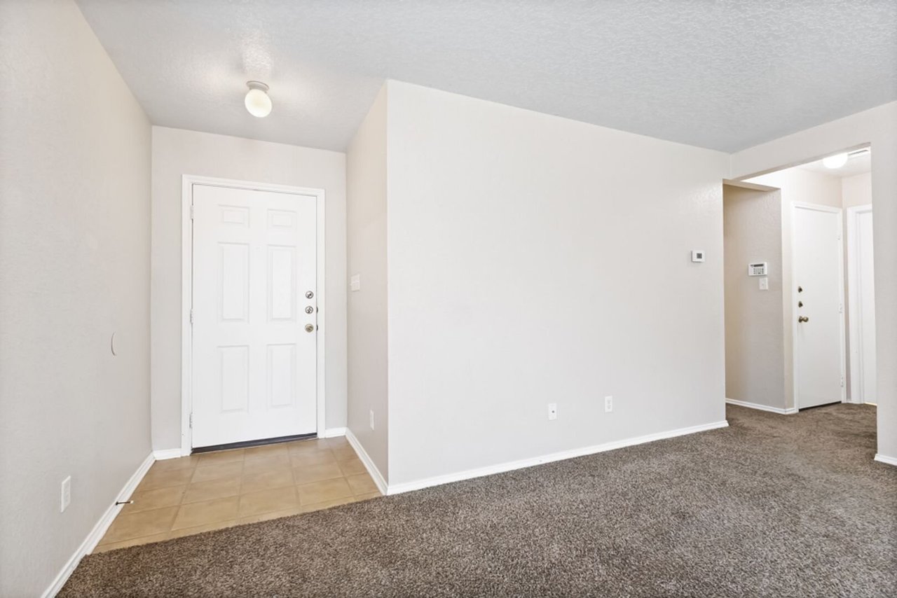 10015 Bermuda Palm San Antonio, TX 78245