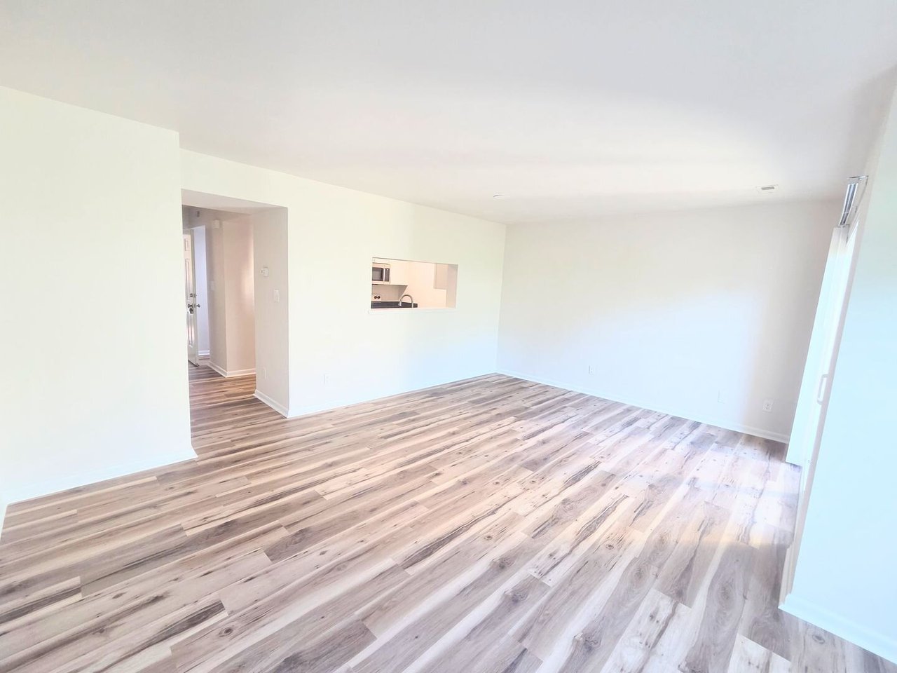 3833 Staffordshire Lane Williamsburg, VA 23188