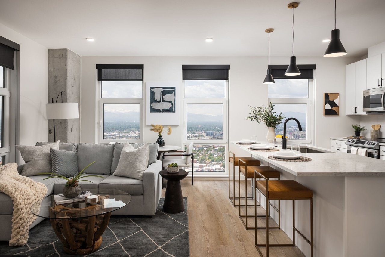 955 N Bannock Street Unit 1111 Denver, CO 80204