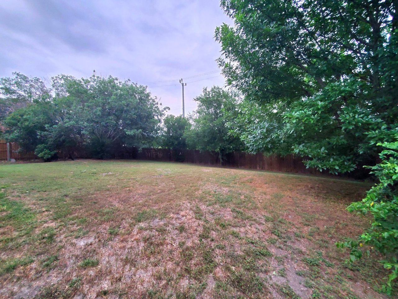 602 Leopard Hollow
