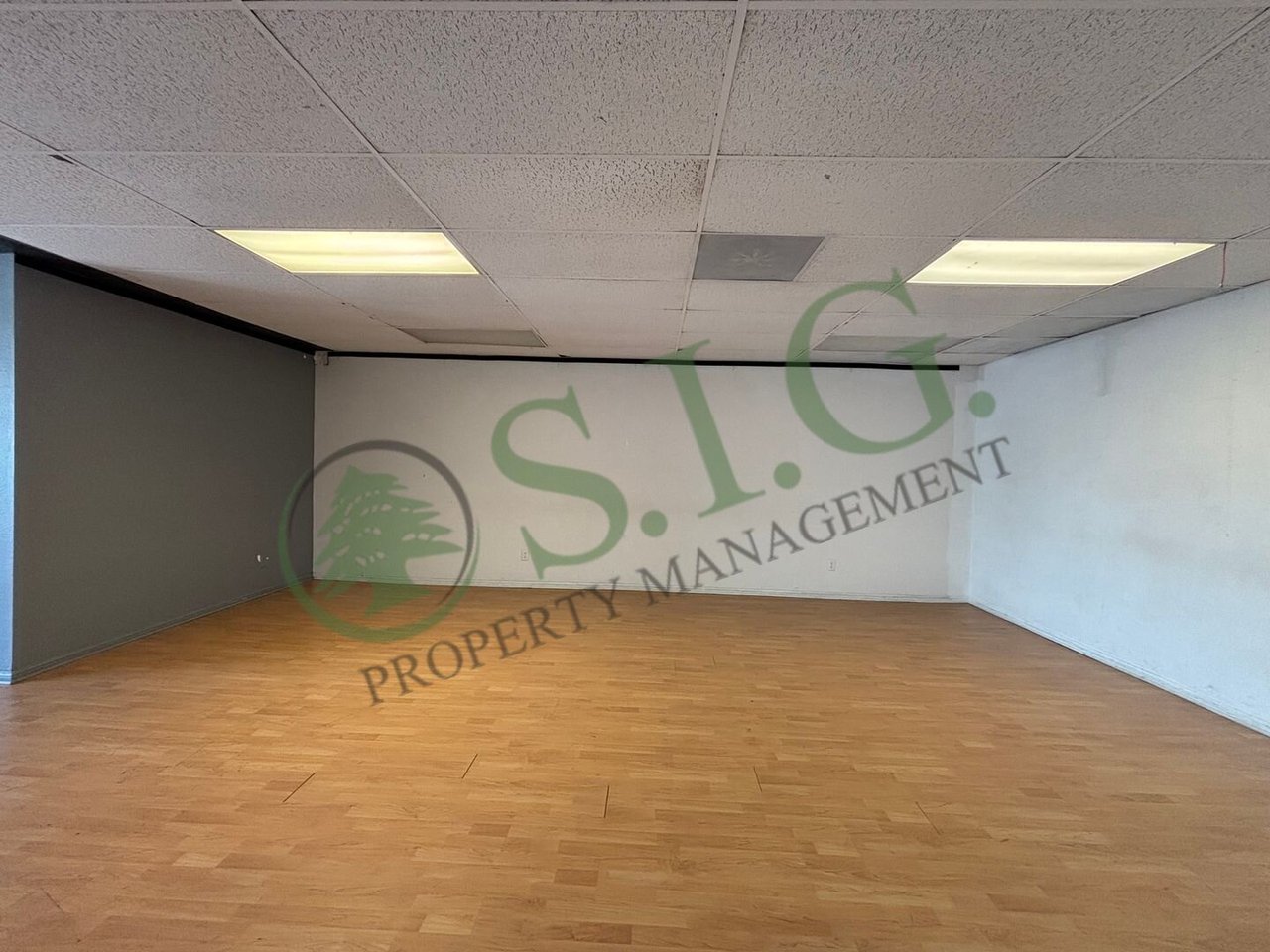 1727 N Vermont Ave , #211 Los Angeles, CA 90027