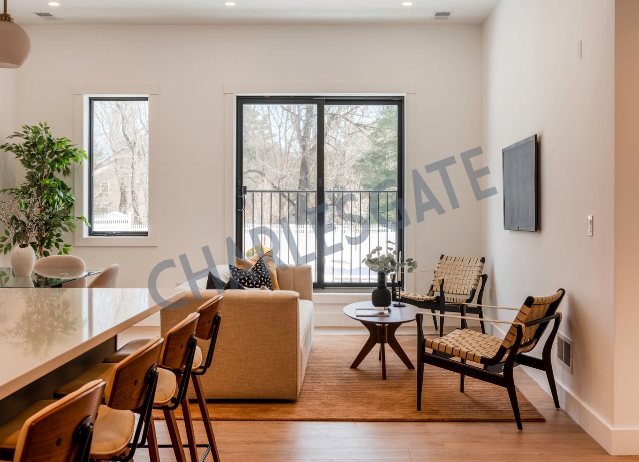 1060 Main Street Unit 306 Millis, MA 02054