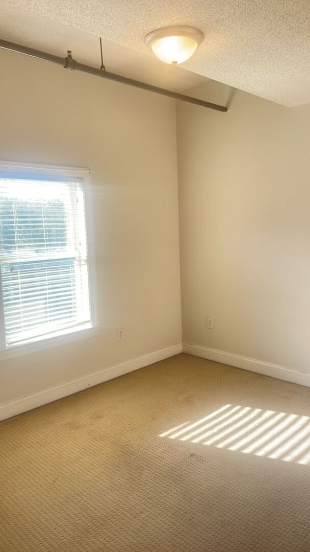 650 N. Lee Highway - Apt. 17 Lexington, VA 24450