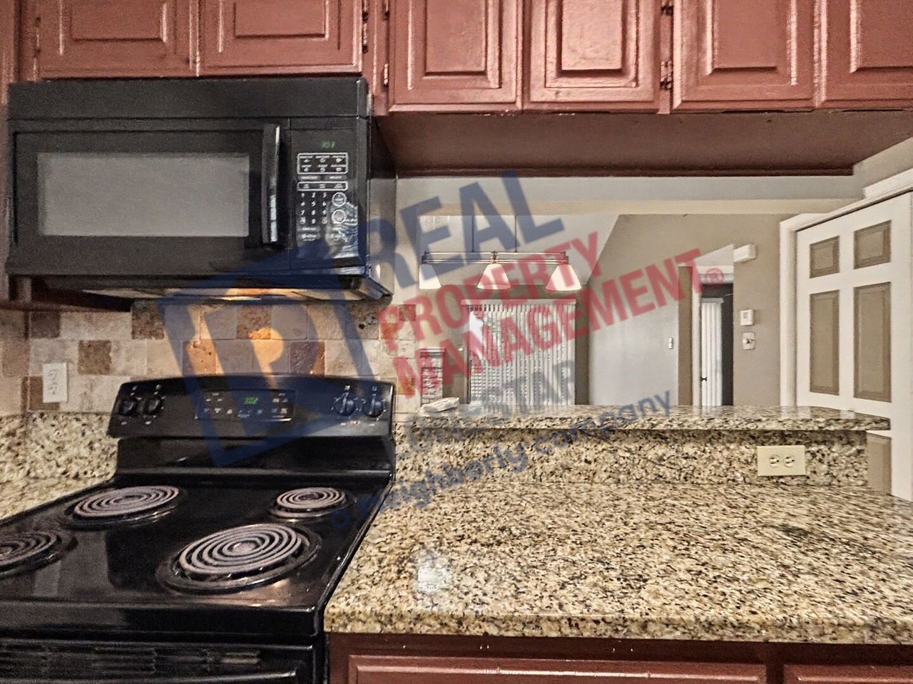 12446 Starcrest Drive  - Apt 312 # 312 San Antonio, TX 78216