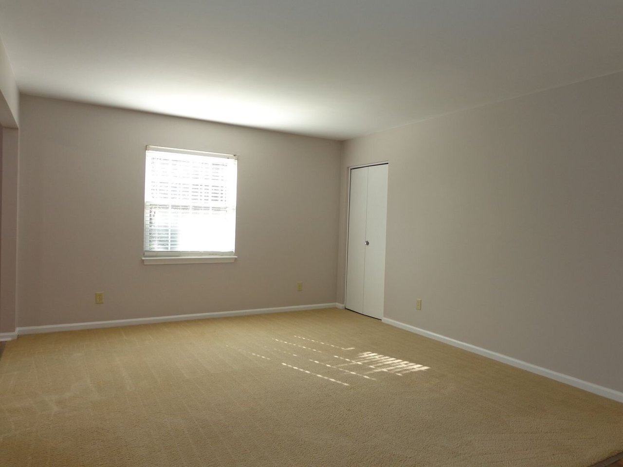 311 Ballard Street - Unit 1-C Yorktown, VA 23690